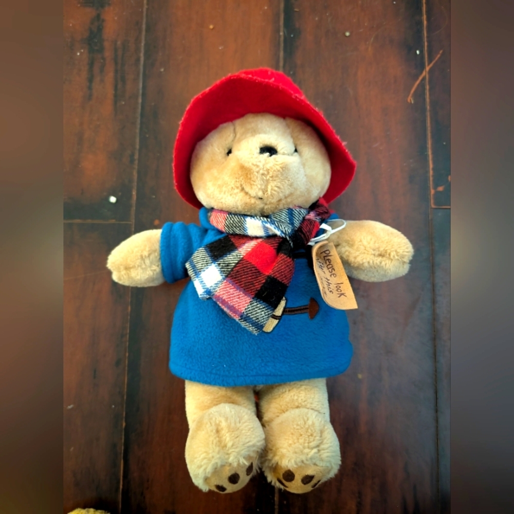 🦋 Cute Paddington Bear